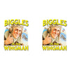 BIGGLES IS MY WINGMAN Mug - Mach 5