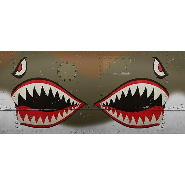 P-40 WARHAWK FLYING TIGER Mug - Mach 5