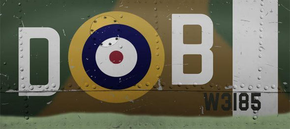 BATTLE OF BRITAIN 'Douglas Bader' SPITFIRE Mug - Mach 5